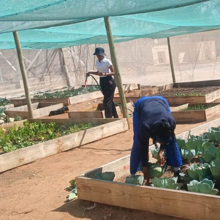 Lephalale TVET College Students Tending a Vegetable Garden Lephalale TVET College agriculture students watering and tending raised vegetable beds under shade netting