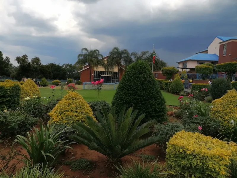 Die Heuwel Primary School Fees and Contacts