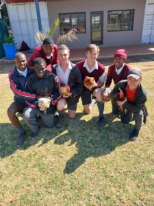 Government Special Needs Schools In The Gauteng School Hive government-special-needs-schools-in-the-gauteng-school-hive